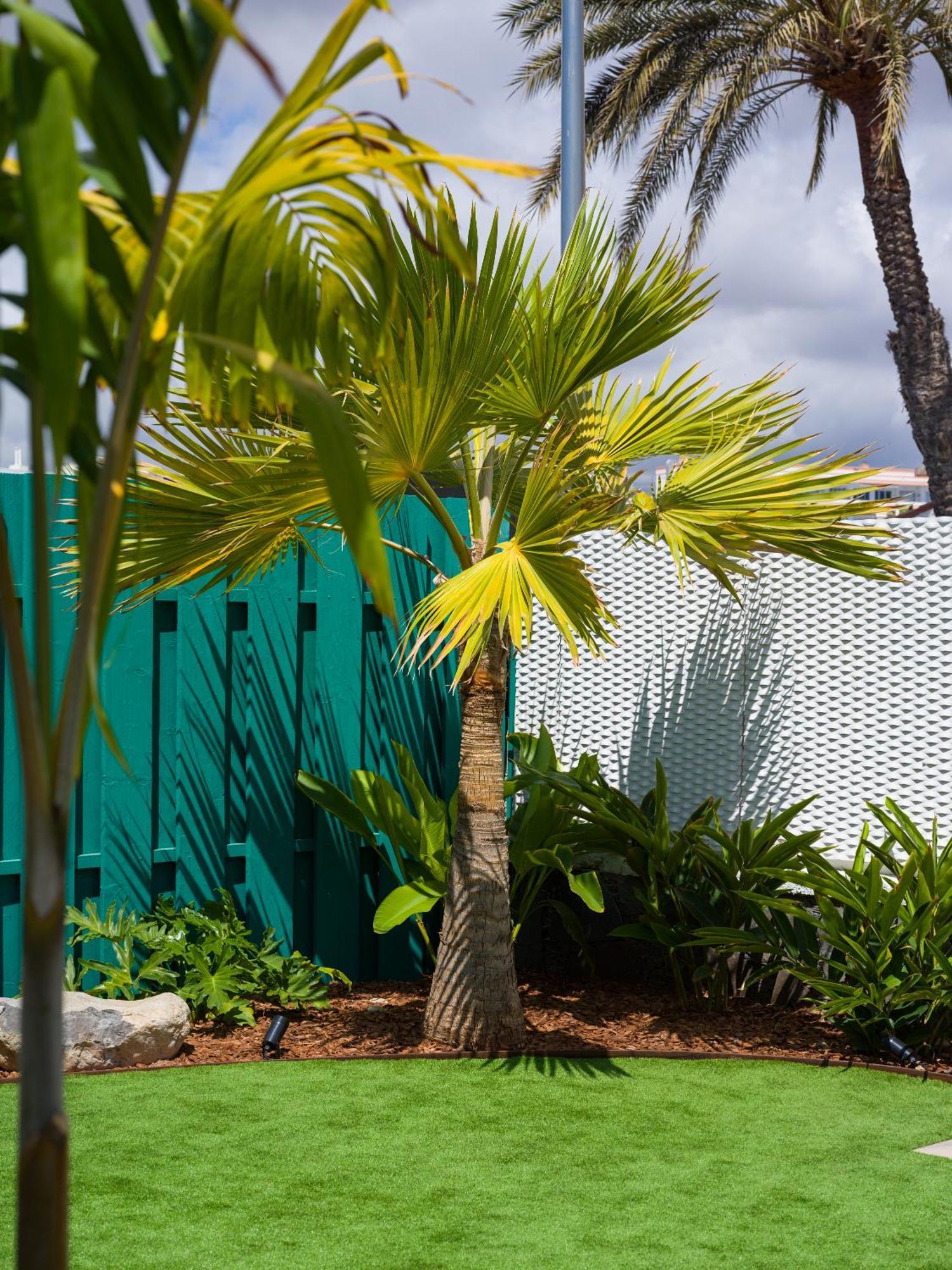 Miami Queens Villa With Private Pool By Tenpropertiesgc San Bartolomé Exterior foto